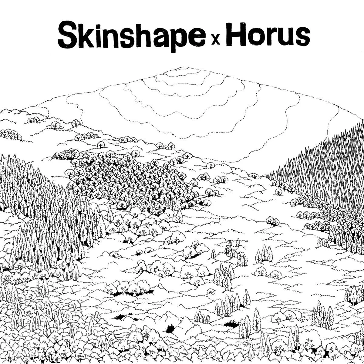 Skinshape & The Horus Allstars - Skinshape X Horus