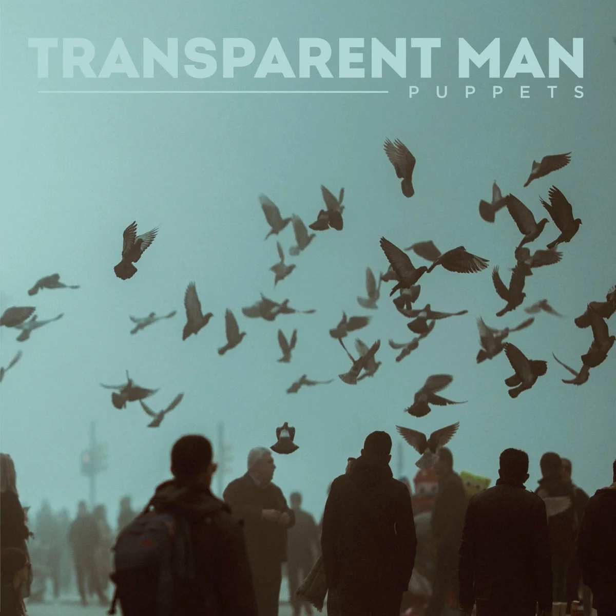Transparent Man - Puppets
