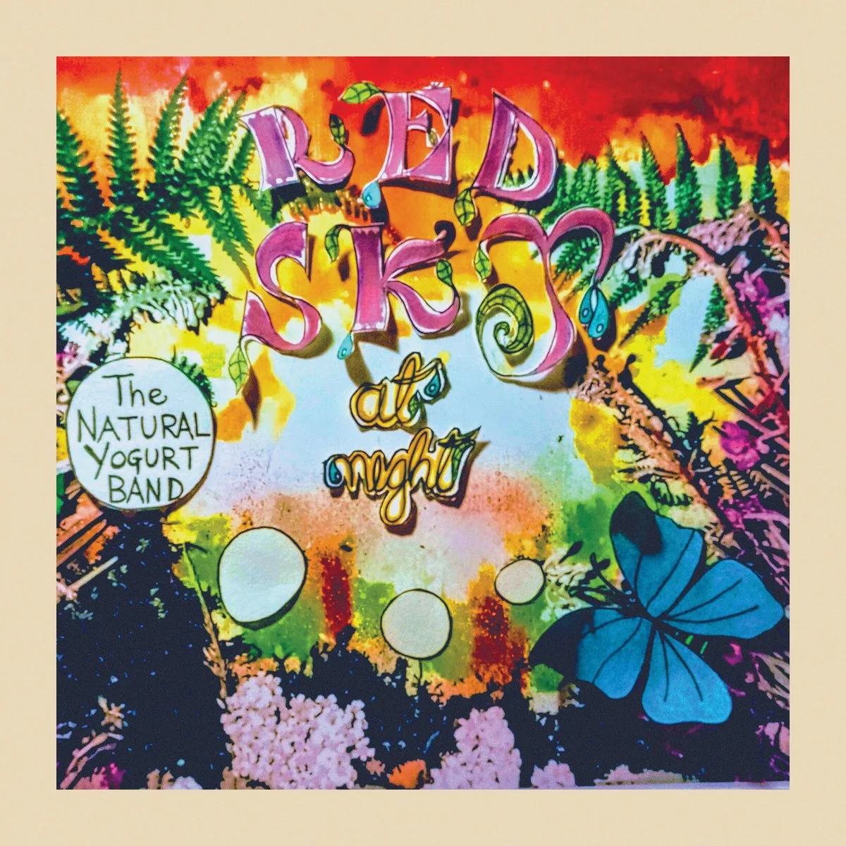 natural yogurt band.jpg