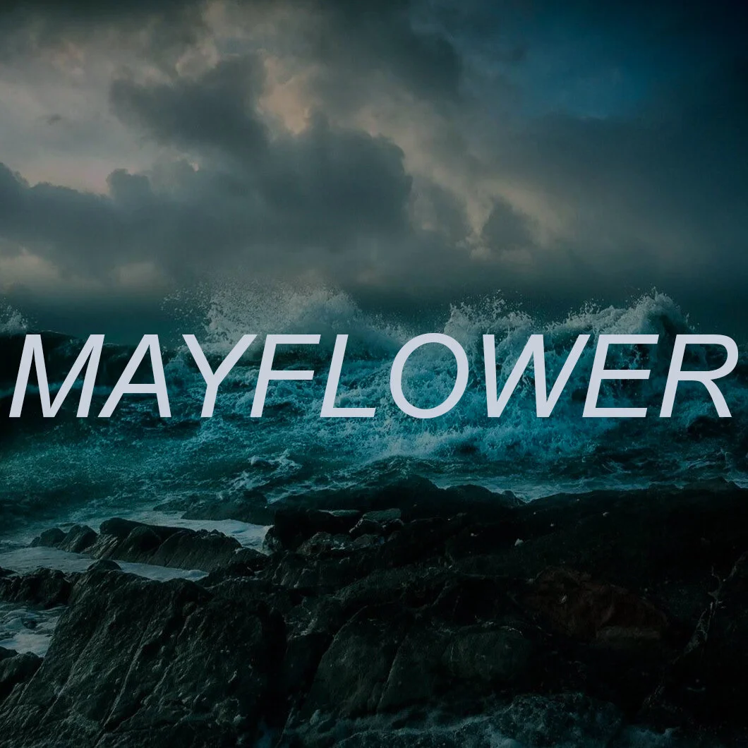 The Noise of the Mayflower - MAIN TITLE- square copy.JPG