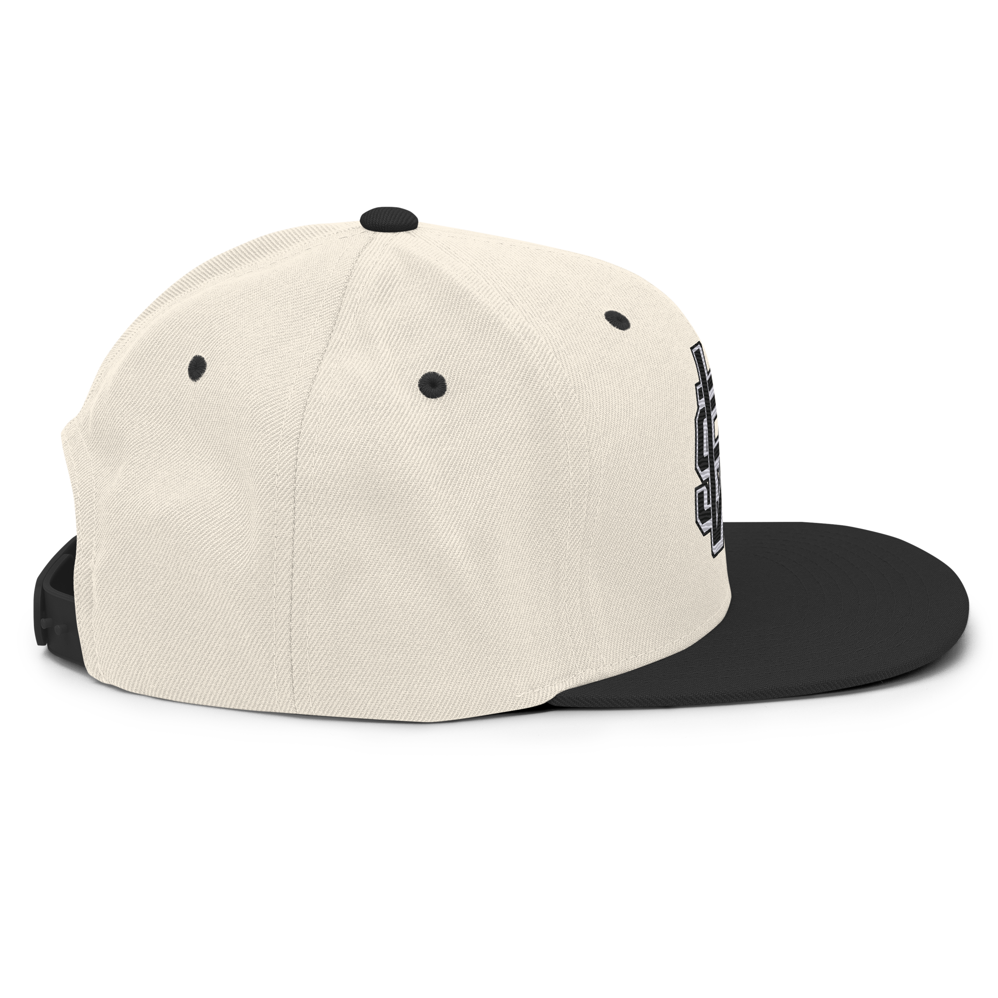 classic-snapback-natural-black-right-side-69d122a47c820.png