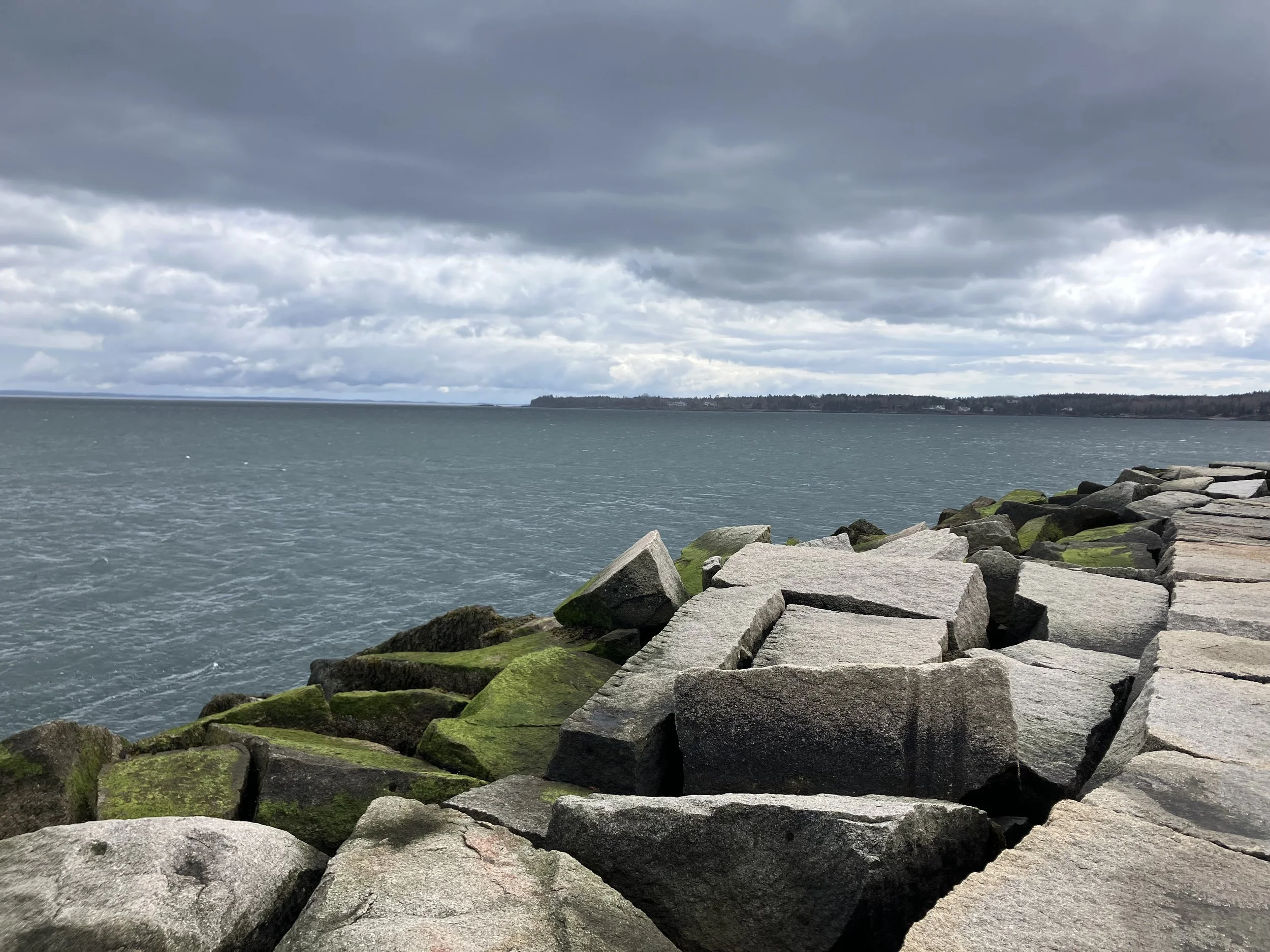 IMG_3757.jpeg