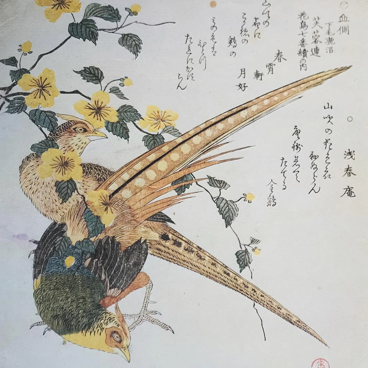Art Prompt: Day 18
Draw creatures that you see around your home. Write a poem about spring and new beginnings. 
_
#artfam_dayeighteen
-
Woodcut, Kubo Shunman -
#woodcut #kuboshunman #birds #putabirdonit #printmaking #springart #easyartlesson #artclas