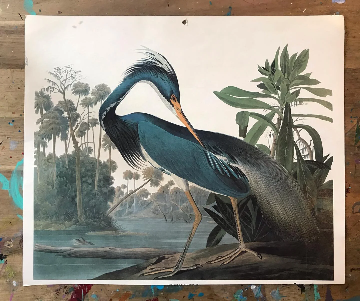 Art Prompt: Day 12
Draw this bird. Do the entire drawing only looking at the bird and not your paper. It&rsquo;s ok if you can&rsquo;t see what you&rsquo;re doing, let your lines take the same path as your eyes. Have fun looking at the results. -
#ar