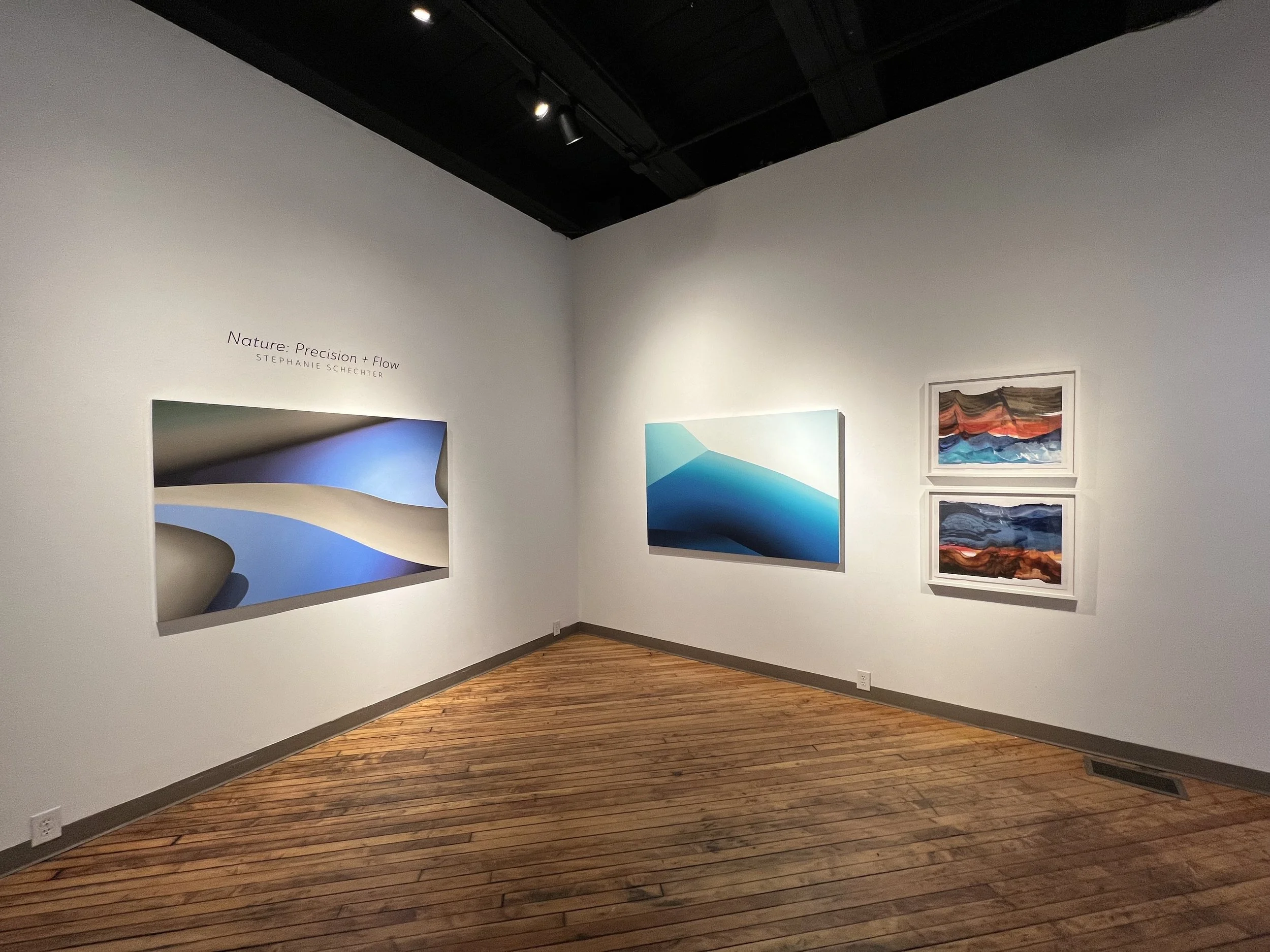 Nature Precision and Flow.jpg