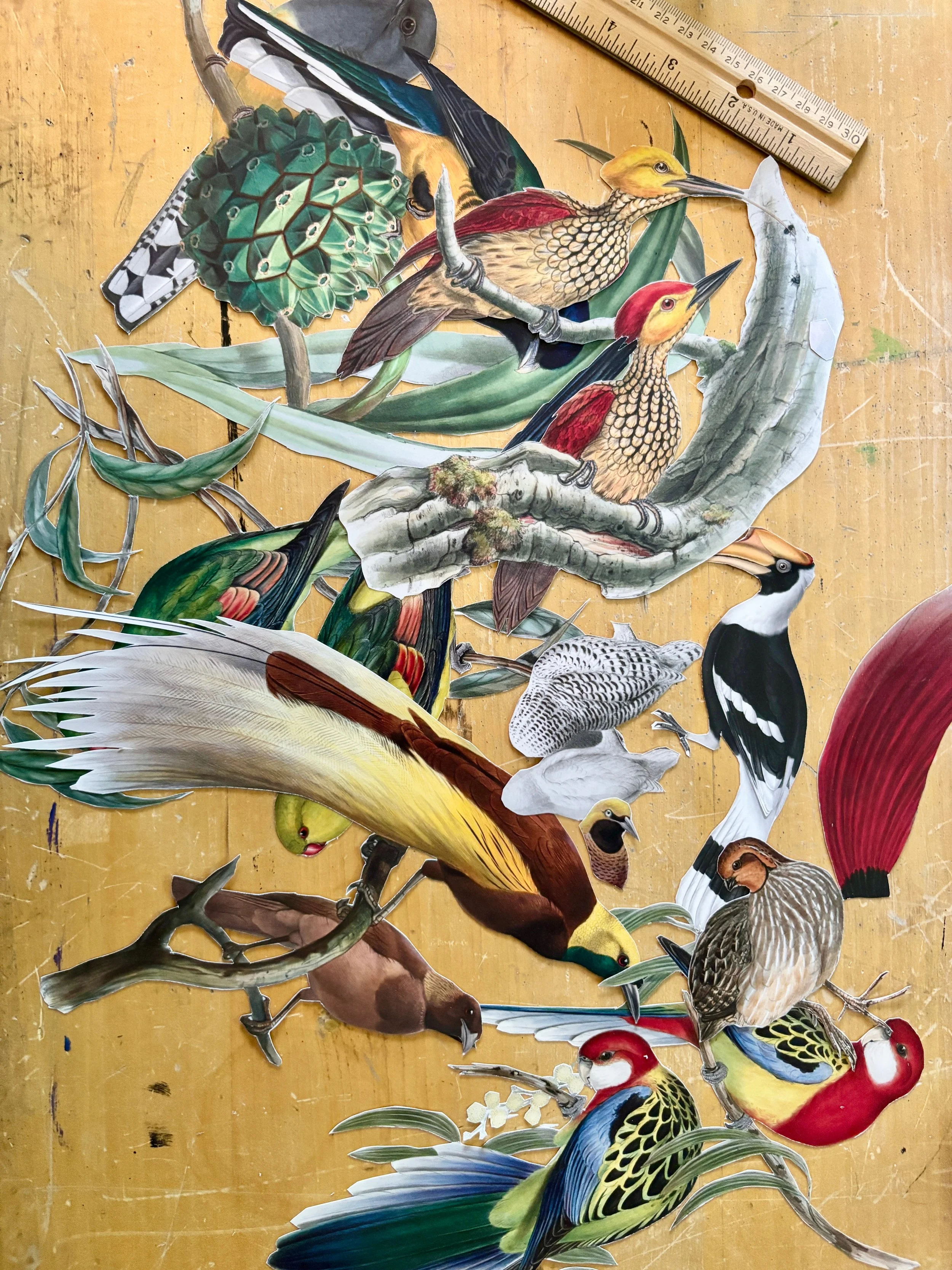 Birds.jpg