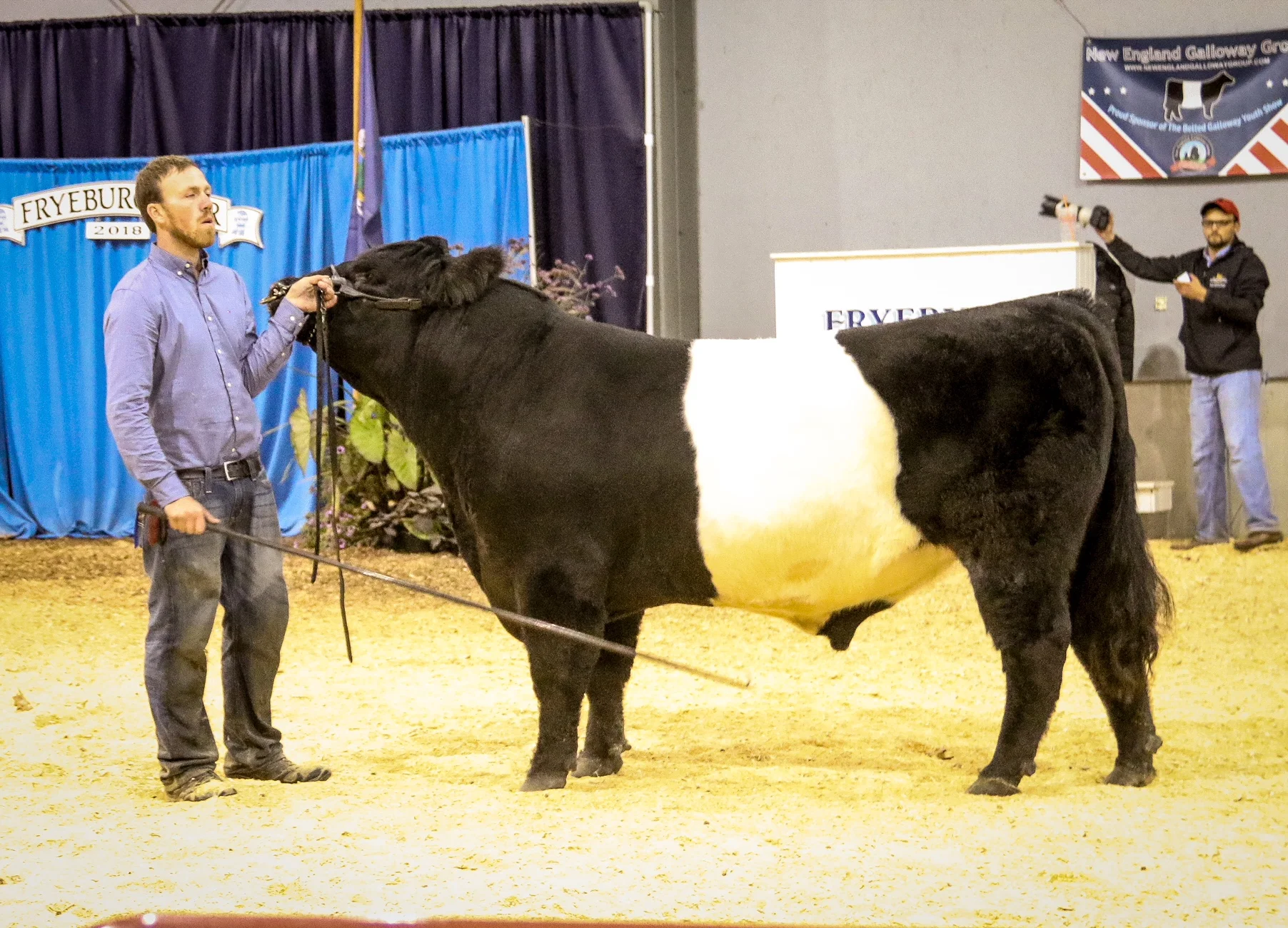 Sambuca wins Grand National Champion