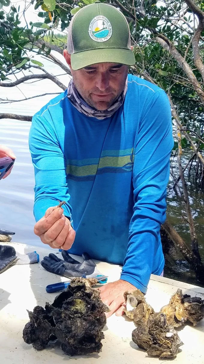 Matt with oyster cluster