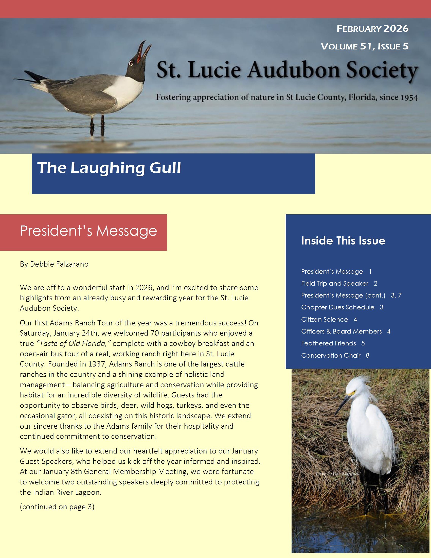 Laughing Gull 02_26 conv 1.jpeg