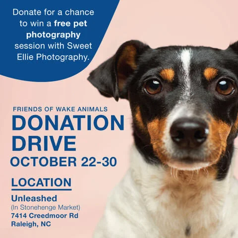 Make a Dog's Day 2020