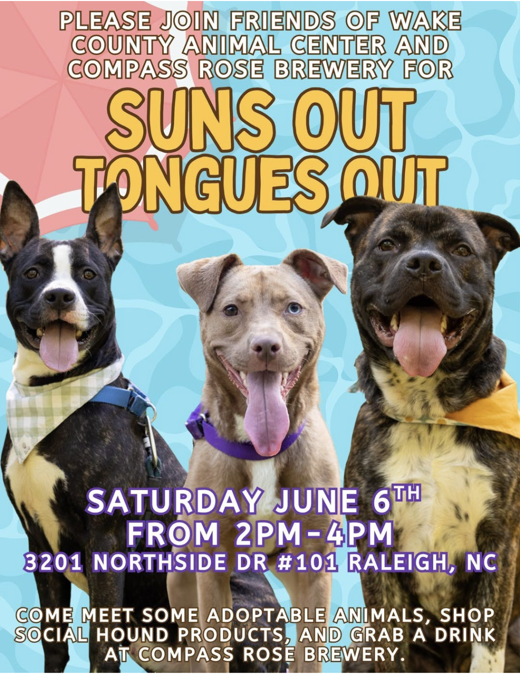 Suns Out, Tongues Out