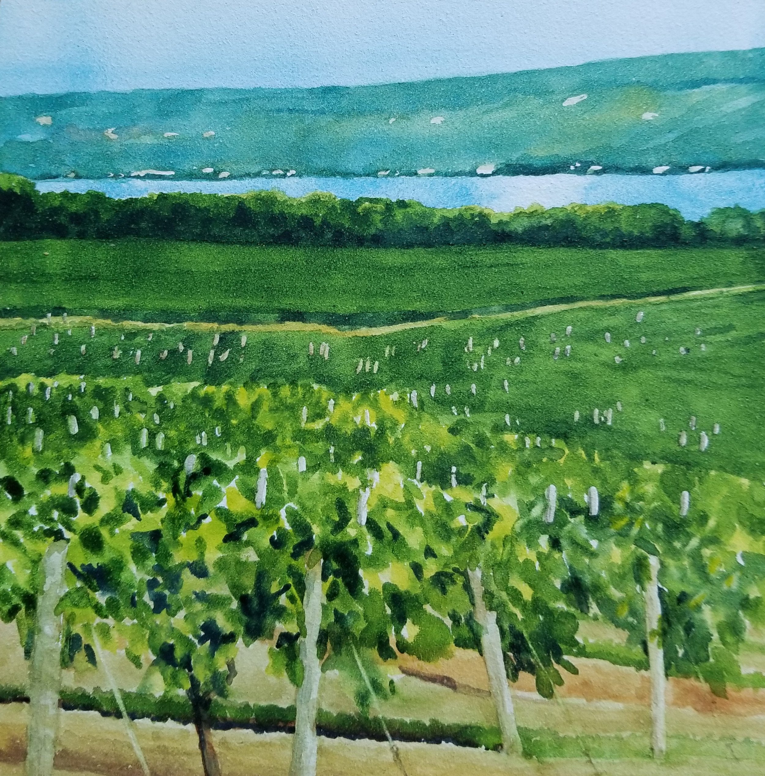 "Keuka Lake Vineyards" - Watercolor, 6" x 6"