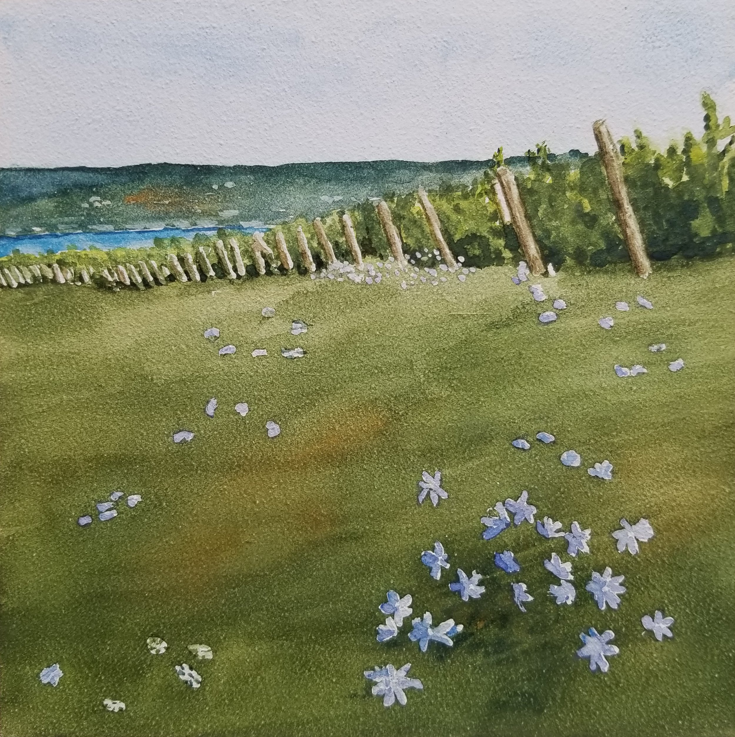 "Wildflowers on Seneca Lake" - Watercolor 6" x 6"