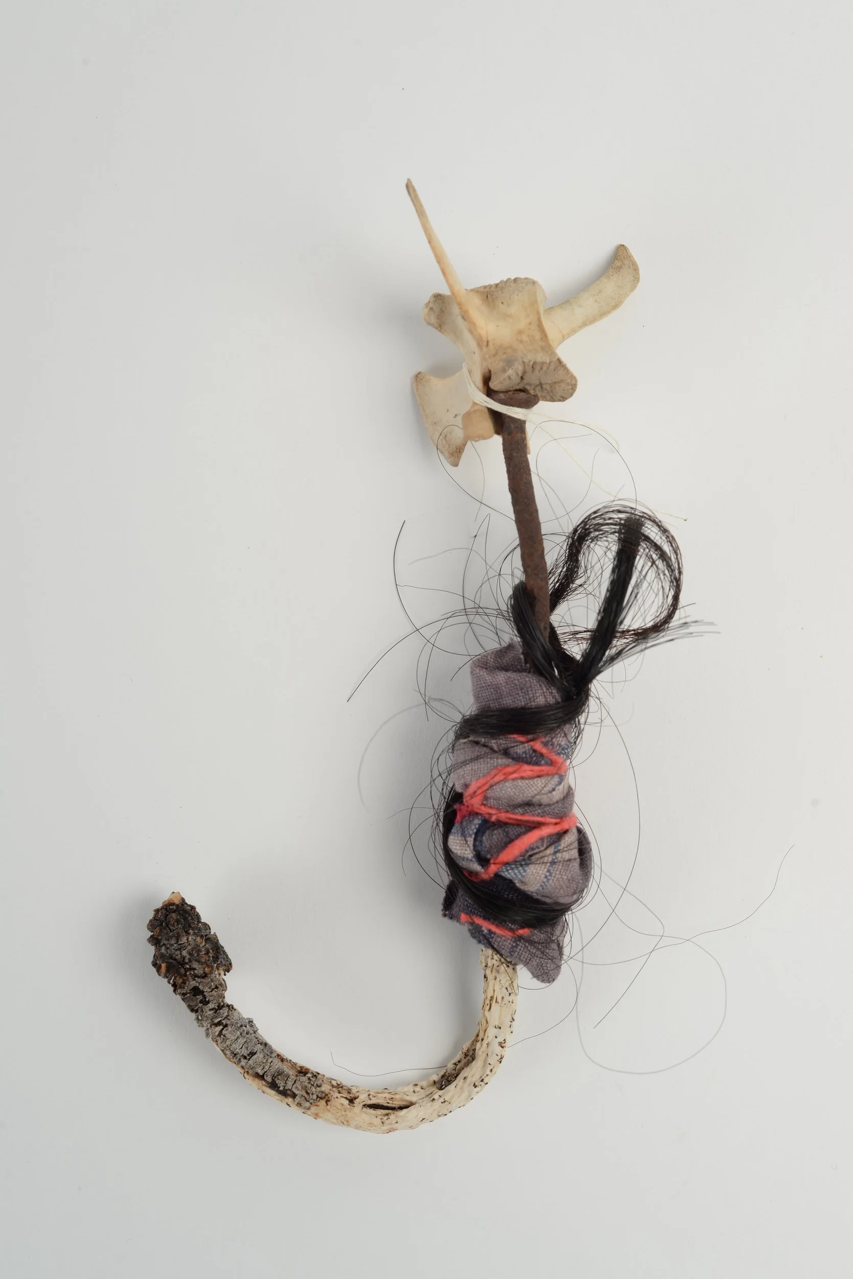 Untitled (nail), 2018 seaweed, deer vertebrae, rusty nail, horse-hair, cloth, string h 25cm