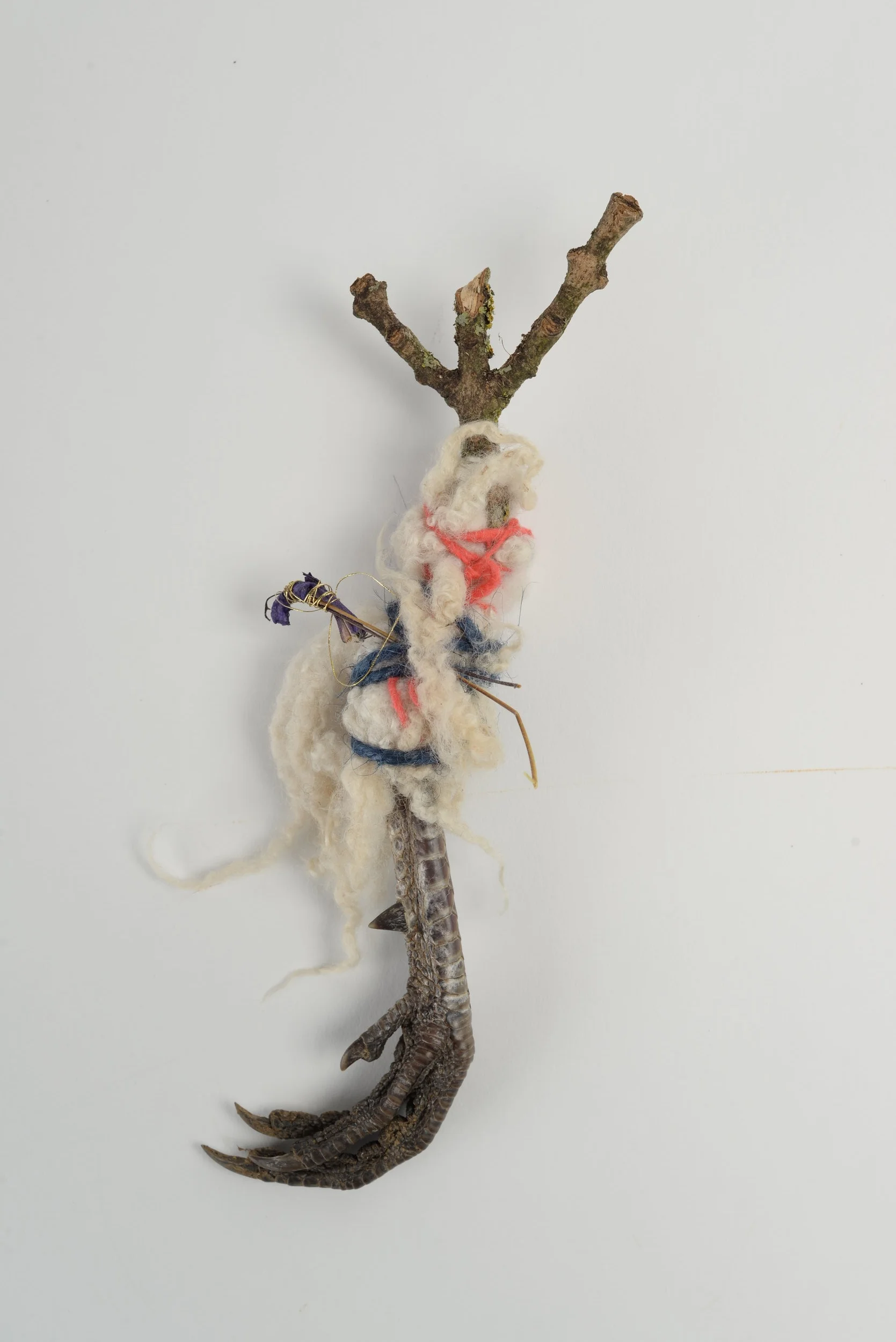 Untitled (claw), 2018 pheasant claw, twig, wool, thread, wire h20cm