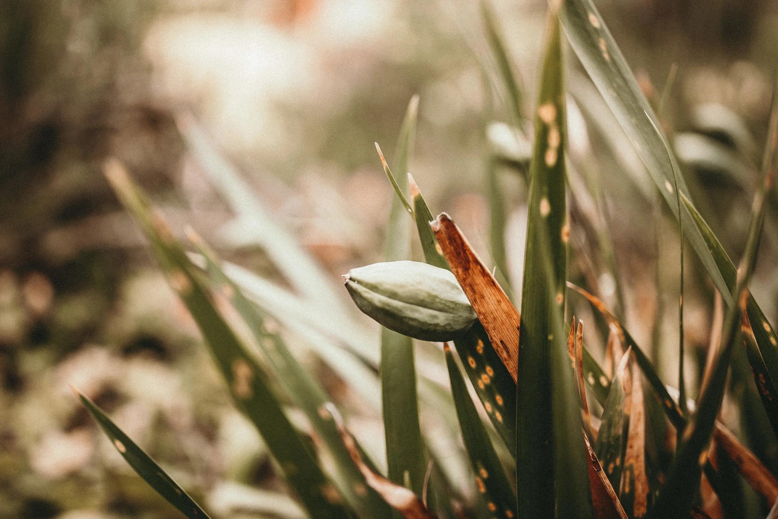 Trusting God Series: Knowing God