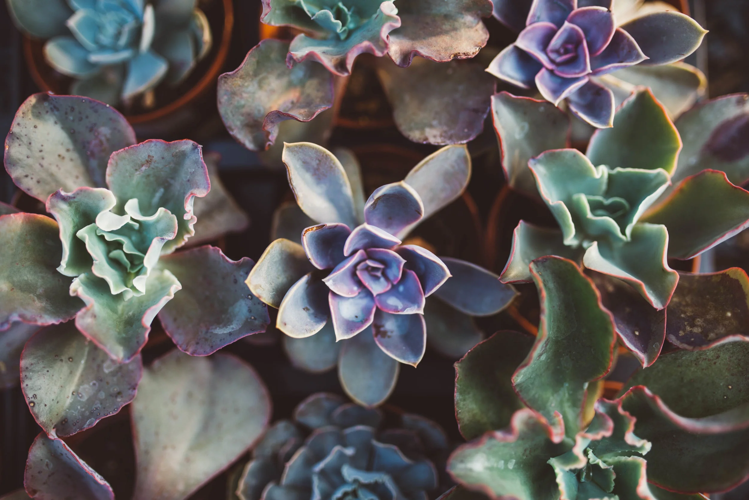Refining Series: Our View of God