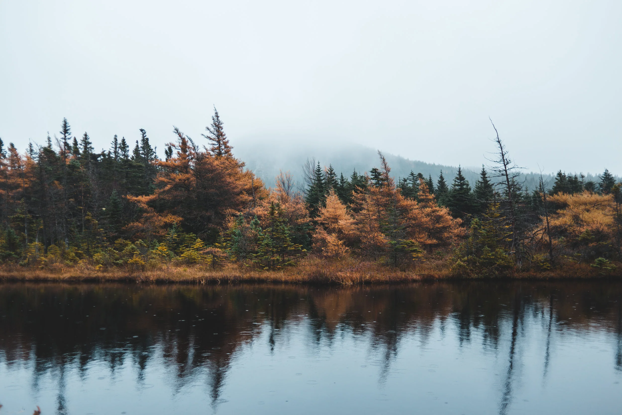 Building  a Close Relationship with God Series: Be Still