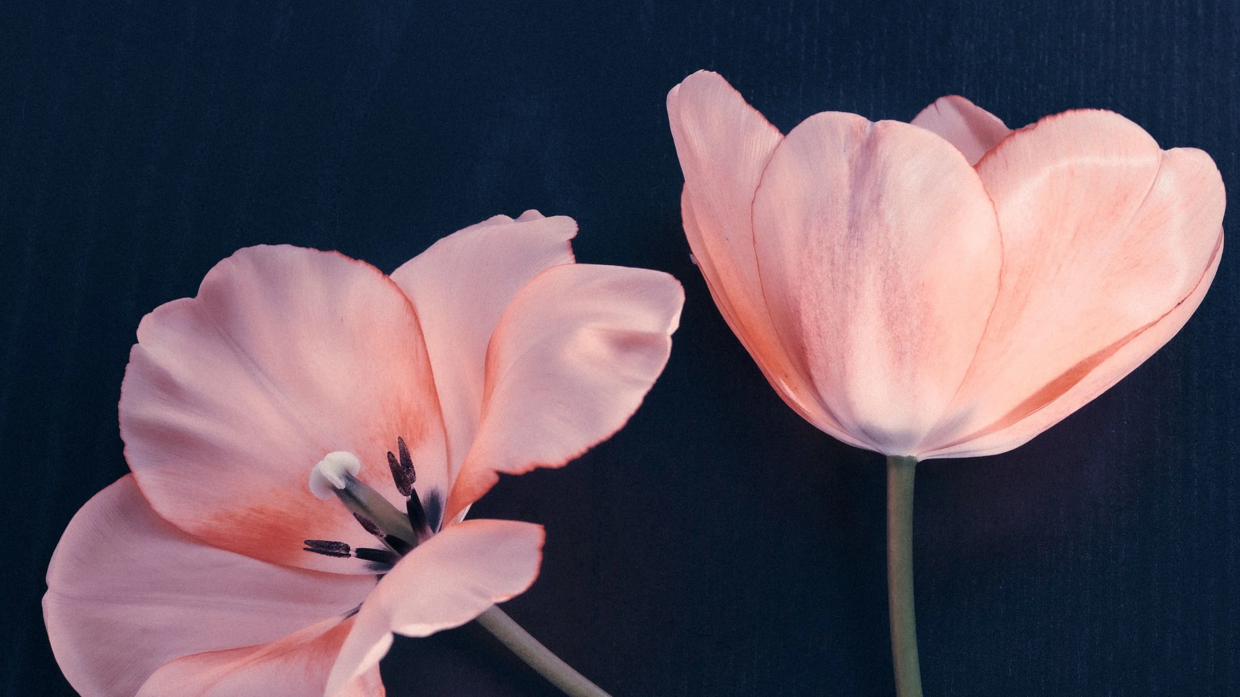 4 Ways To Conquer Your Fear Of Releasing Your Emerging Adult