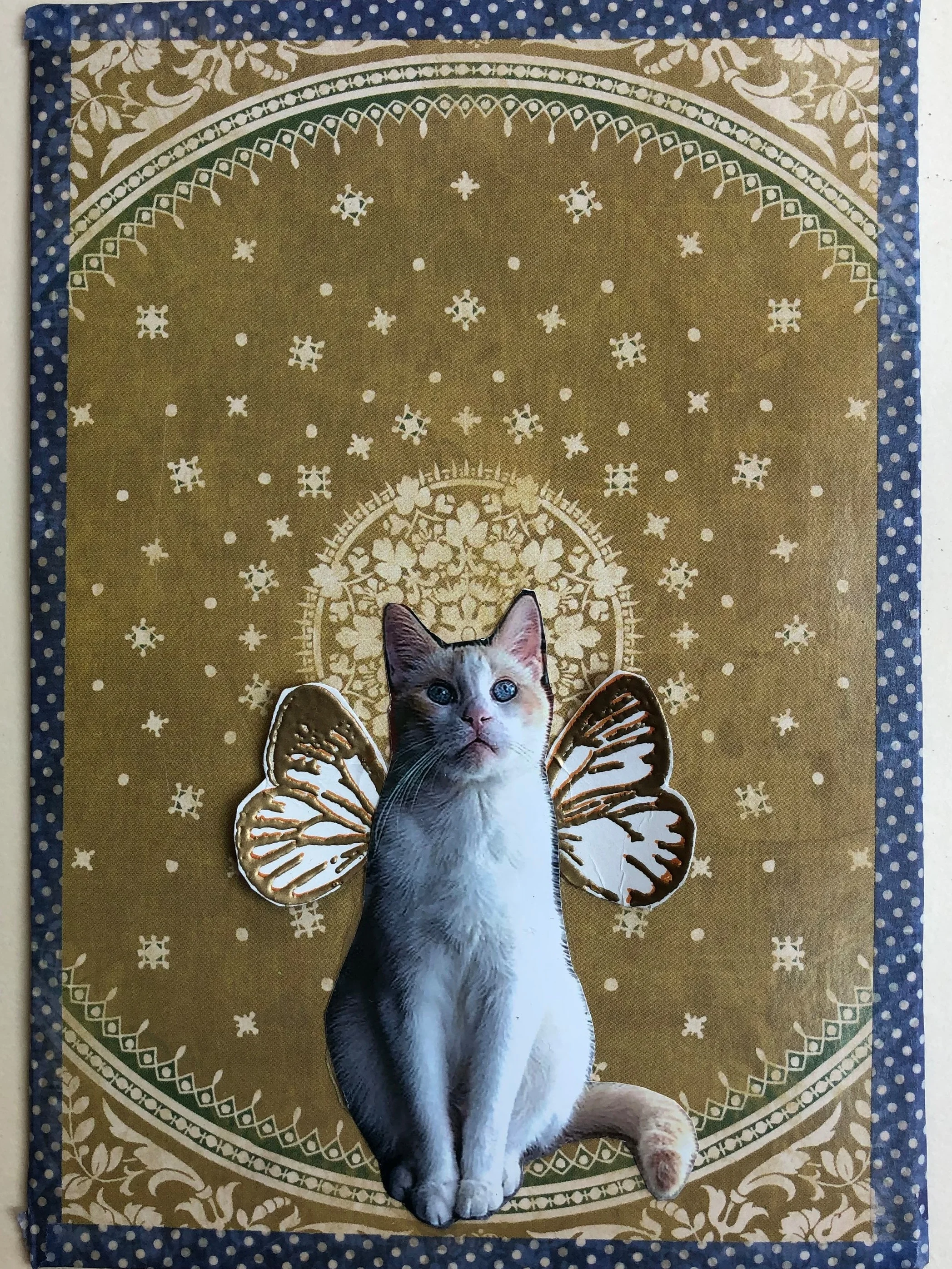 Animal Angel