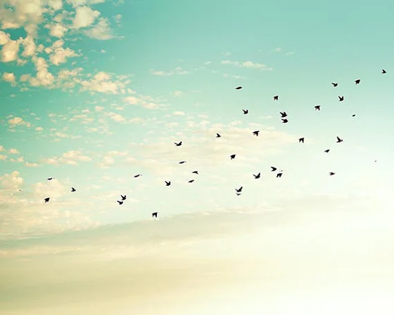 Why we can feel other peoples emotions and what we can do about it