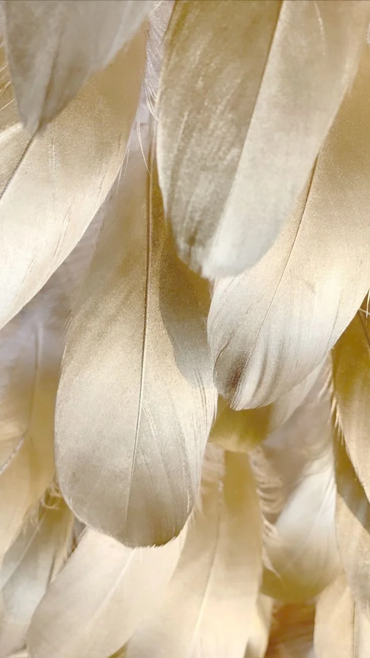 Journeys of the Spirit Zurich