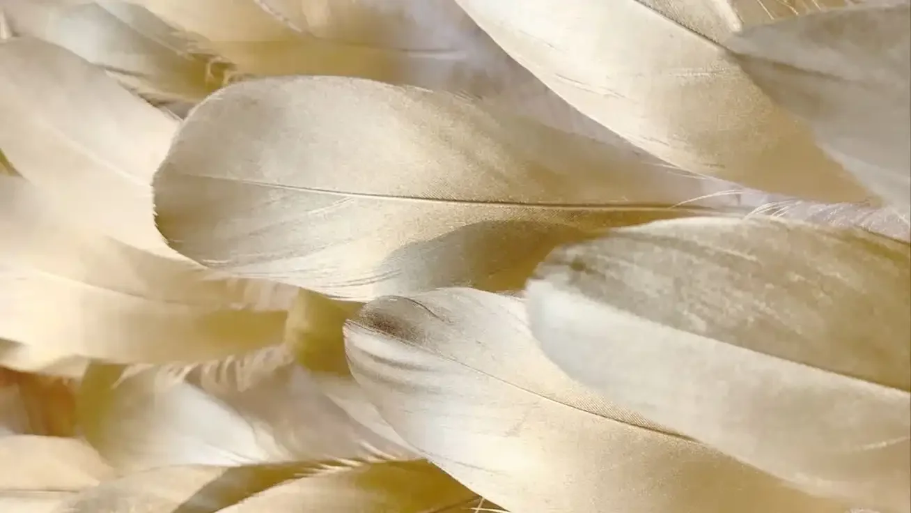 Journeys of the Spirit Zurich