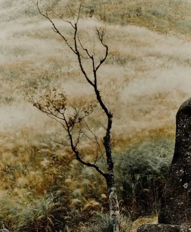 Healing childhood trauma with energy healing