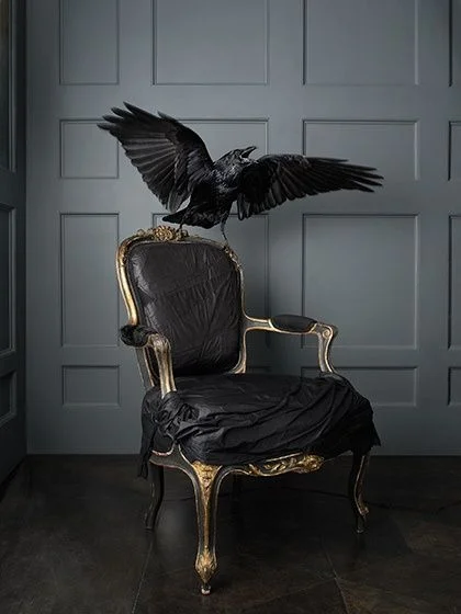 Sinn-Ergy Halloween Party - One Person