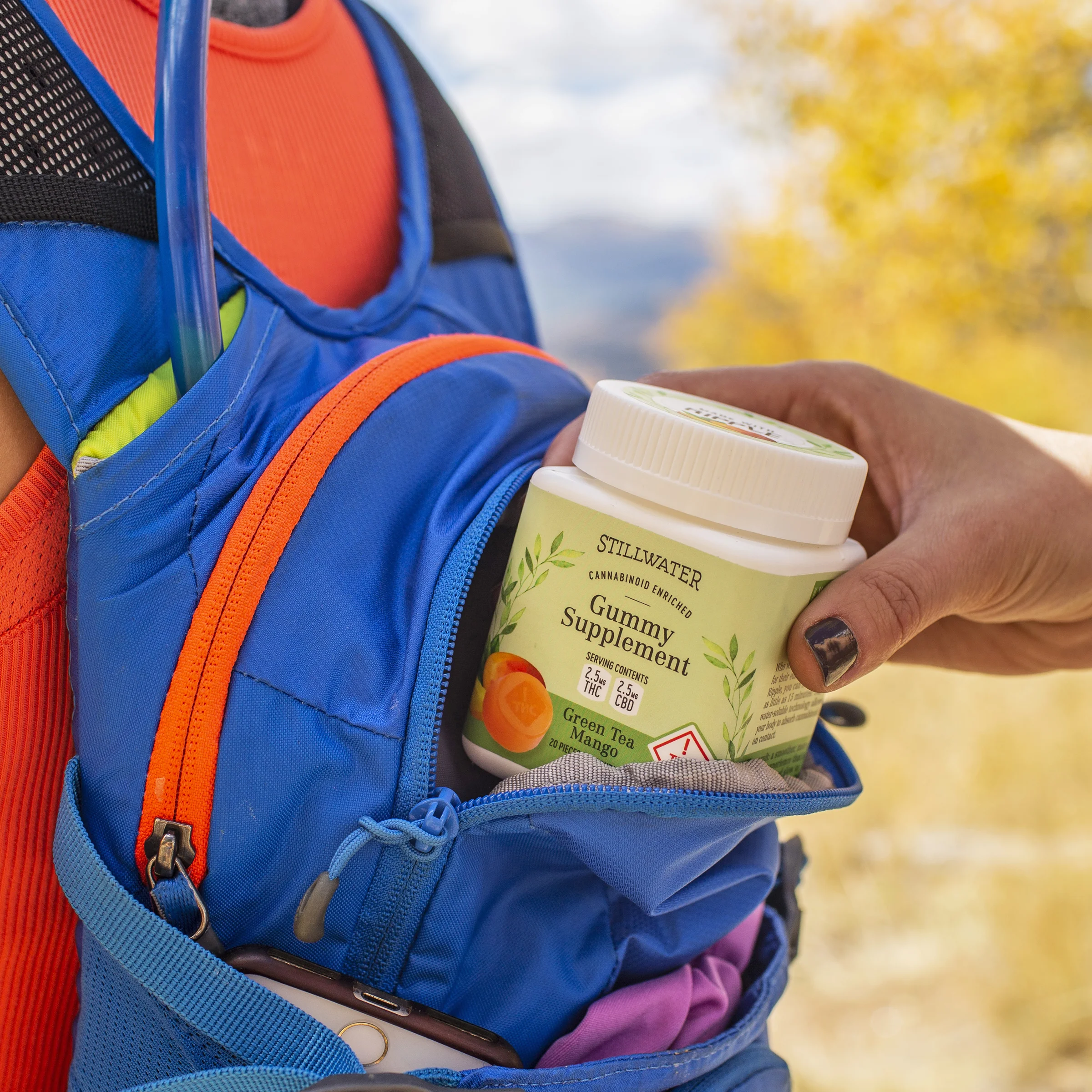 greenteamango_backpack_cropped.jpg