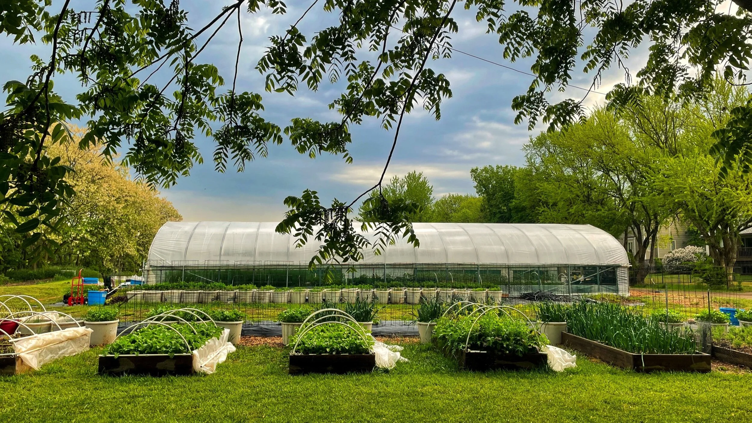 Orie's Farm Fresh