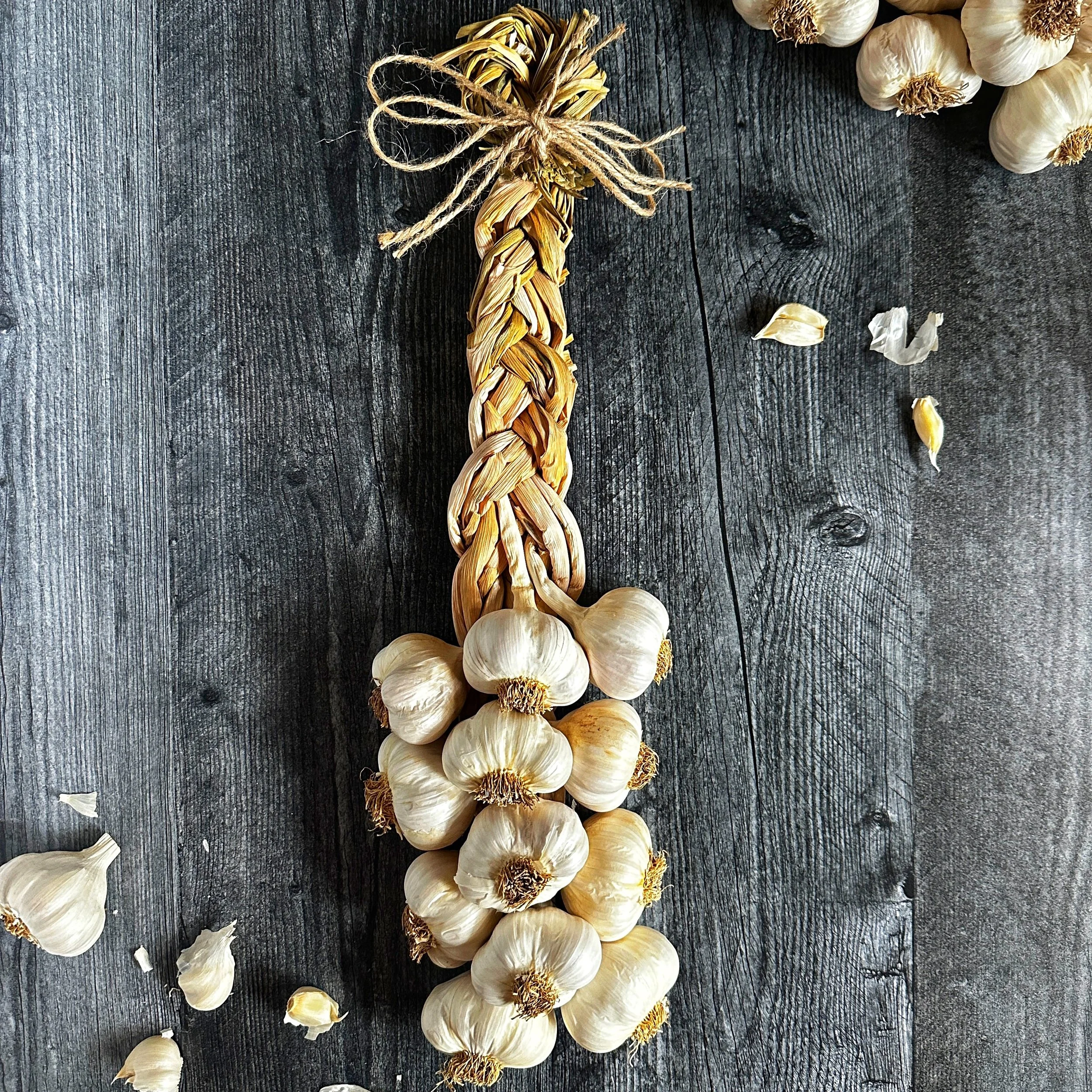 Centered flat-lay photograph of a handmade 12-bulb Mild French garlic braid resting vertically against a dark wood background.