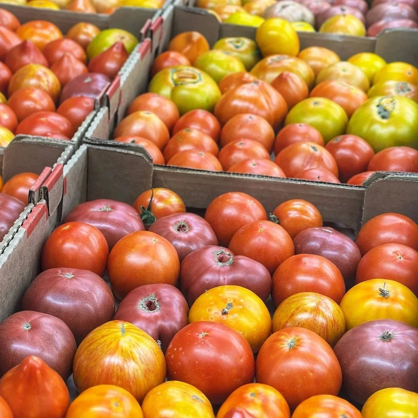 Tomato Cartons 25.jpg