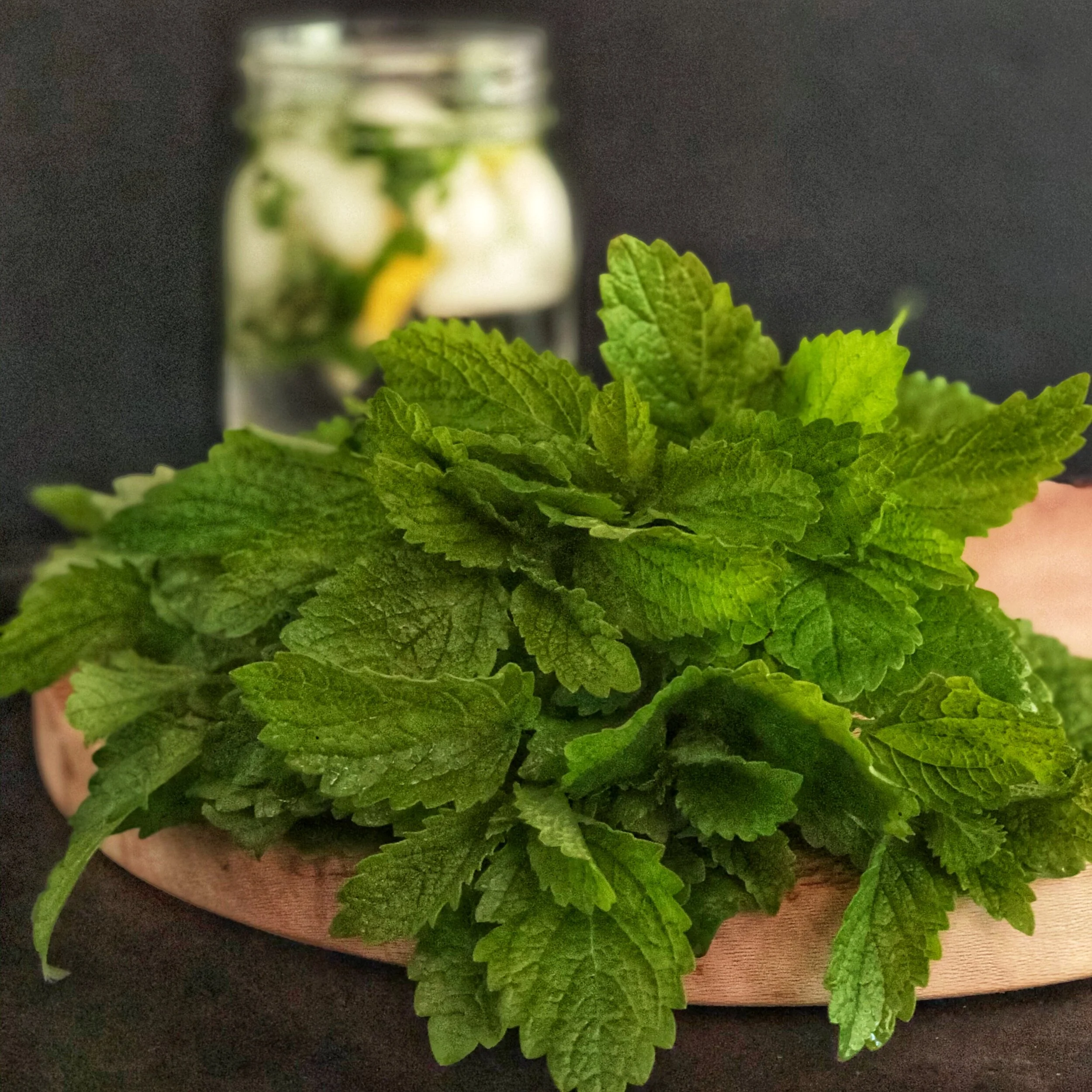 Lemon Balm
