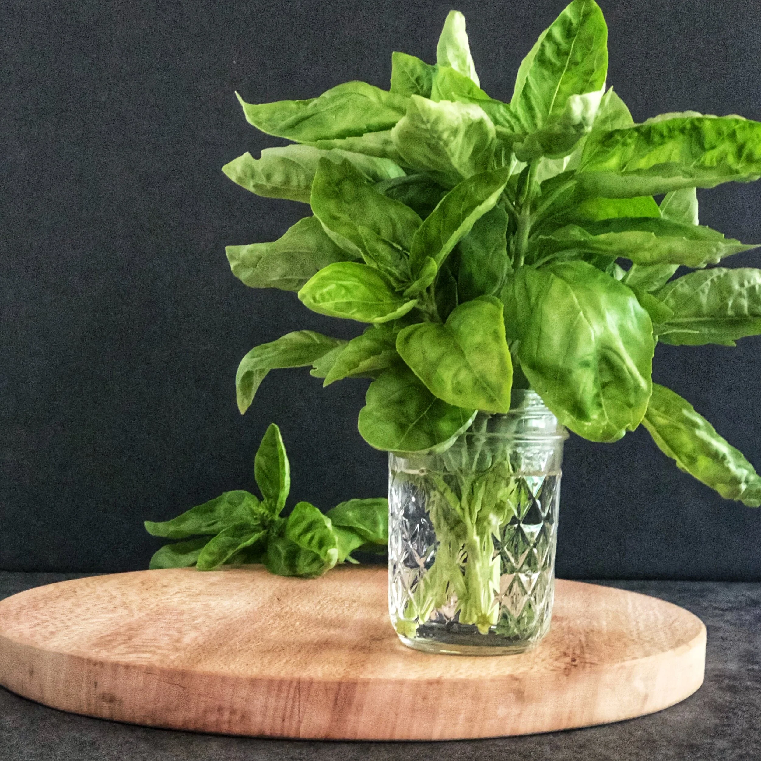 Basil