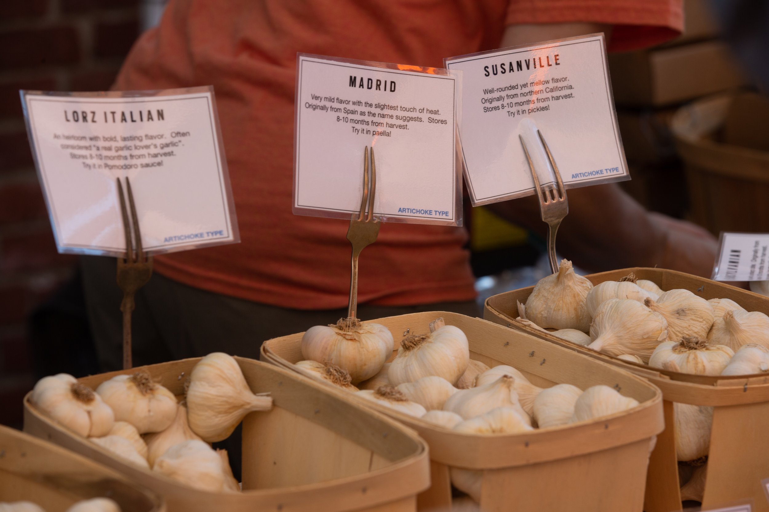 Baskets of garlic bulbs on display at a market stall with signs describing different varieties: Lorz Italian, Madrid, and Susanville.