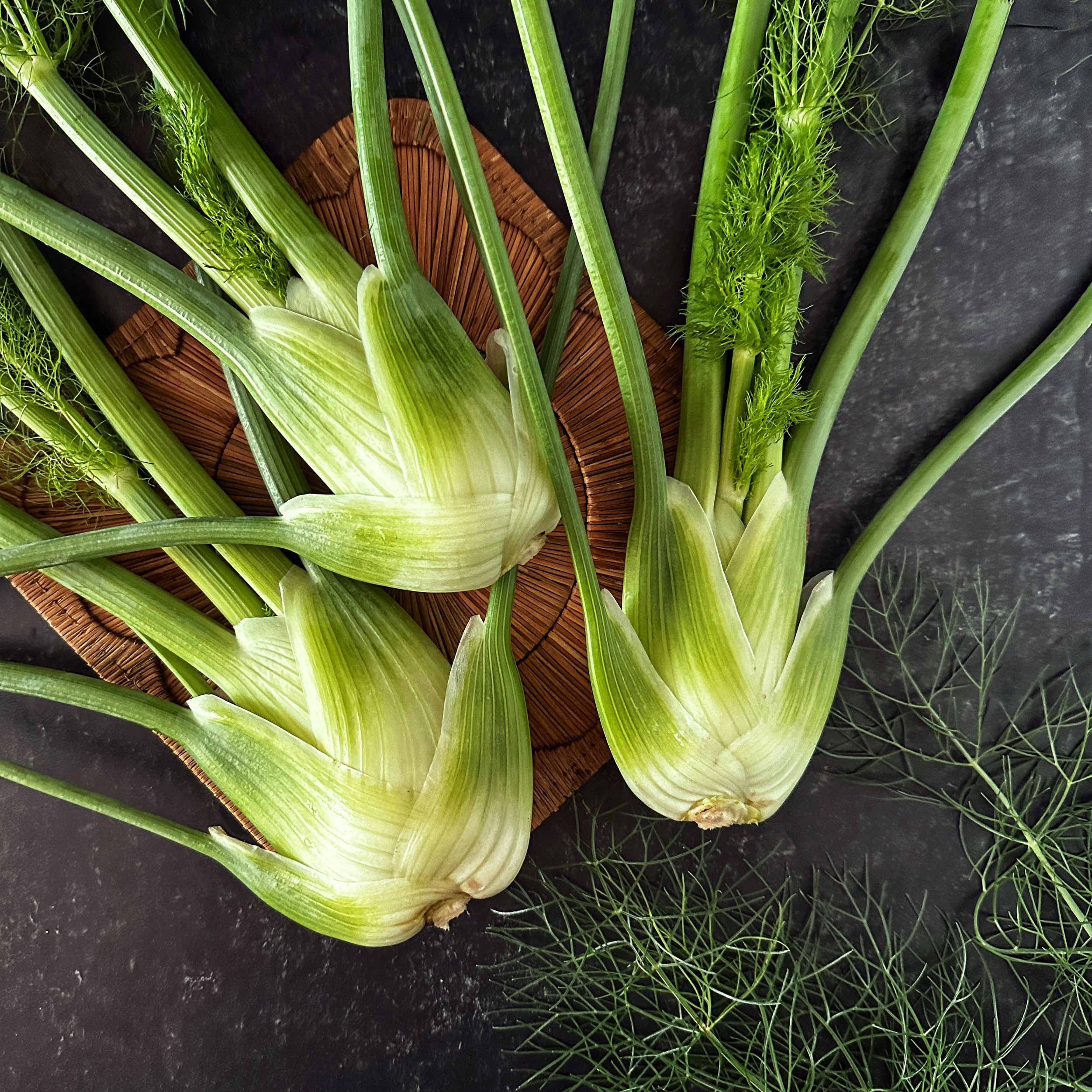 Fennel Baby 23-2.jpeg