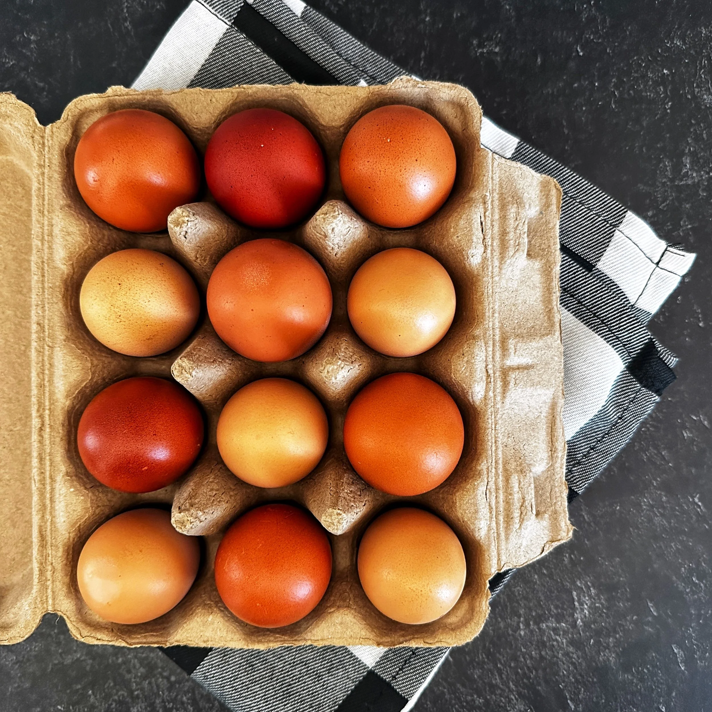 Pastured Eggs 25 2.jpg