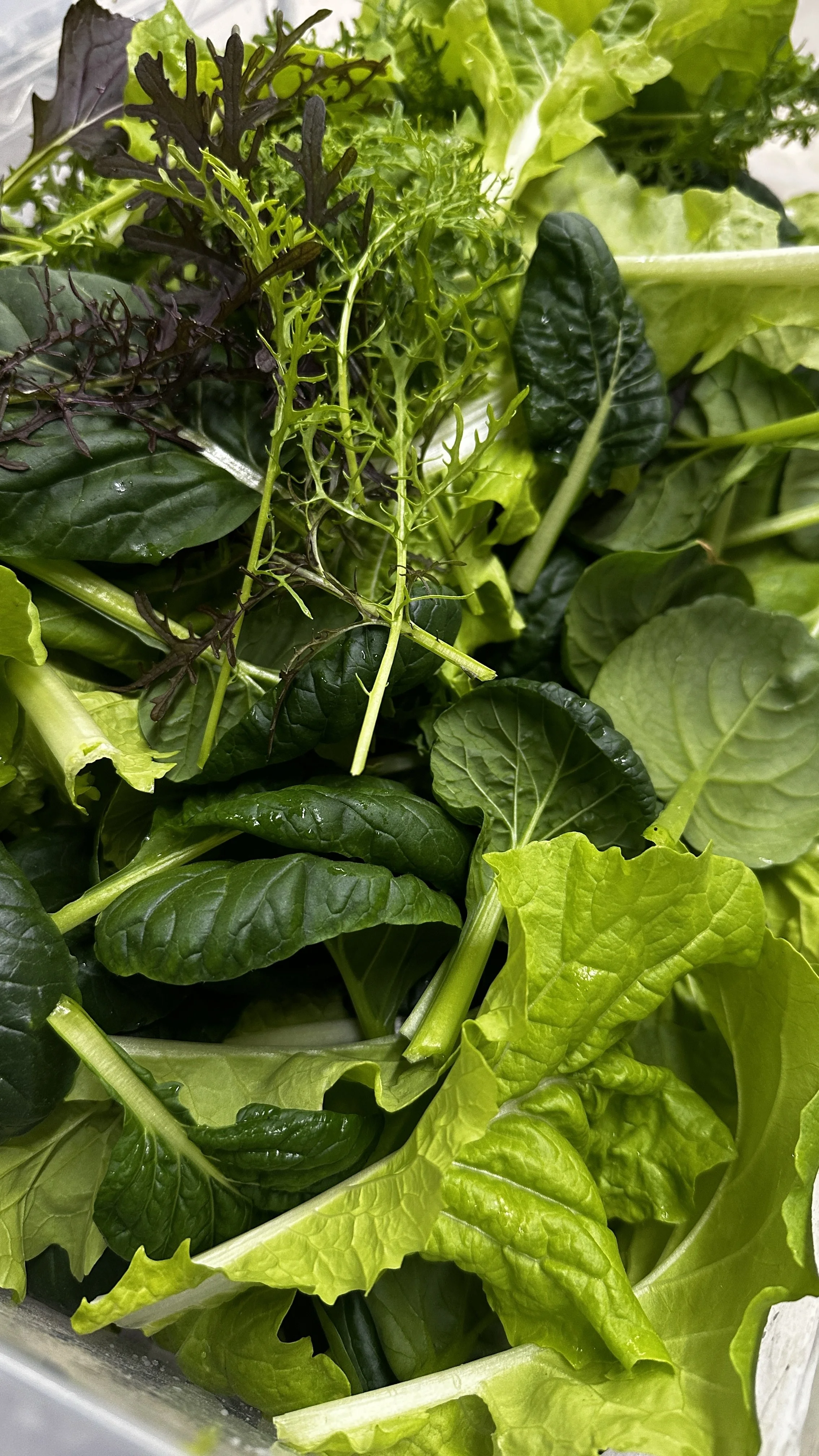 Orie's Farmhouse Greens Mix.jpg