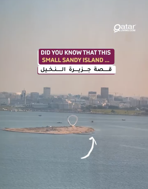 Story of Palm Tree Island
