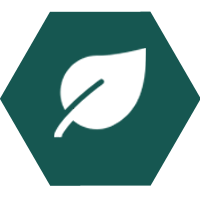 leaf-poly.png