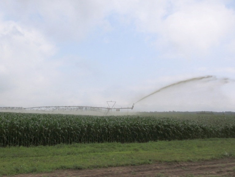 Irrigation.jpg