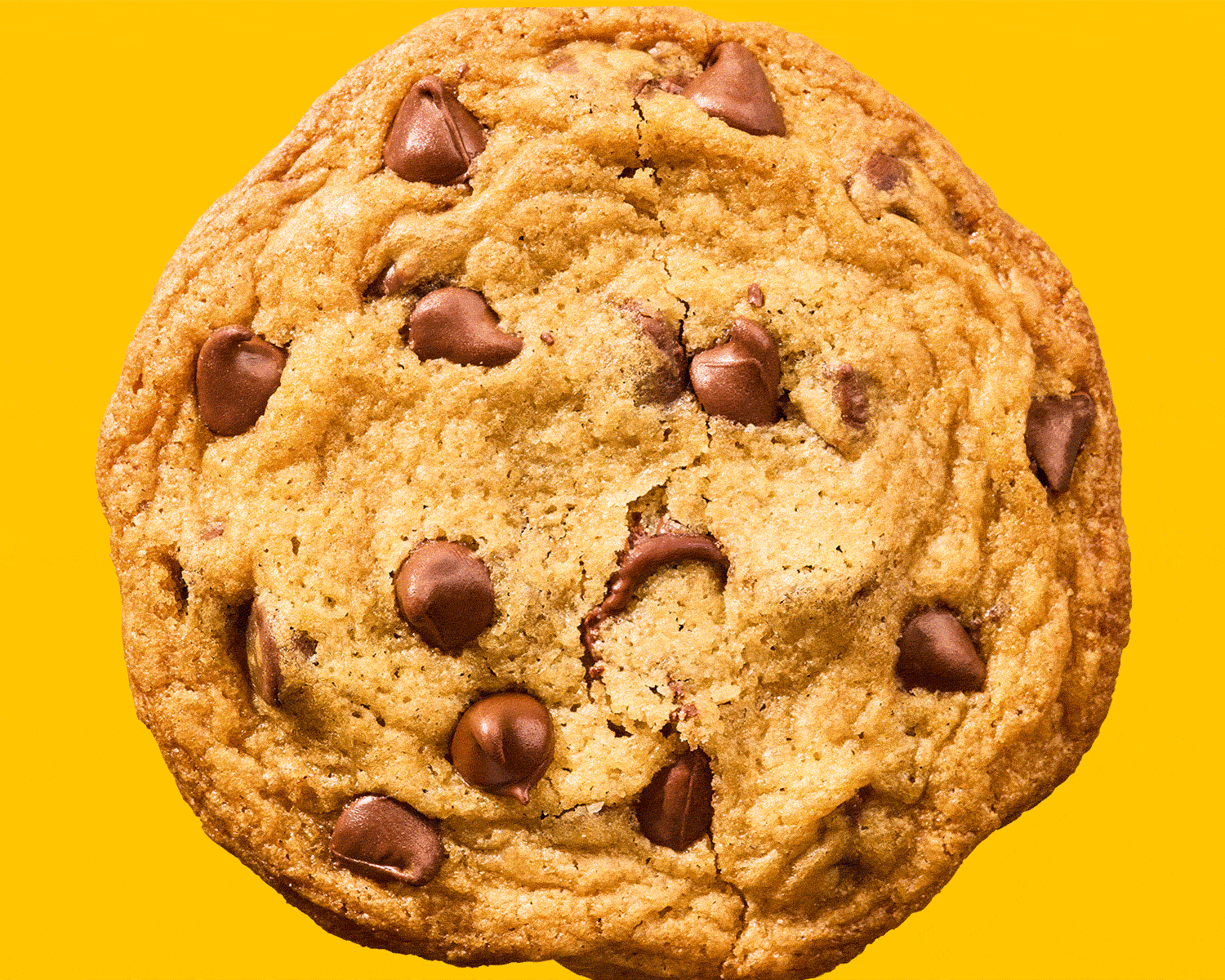Macro-Cookie-Frames-LowRes-RT-v3.gif