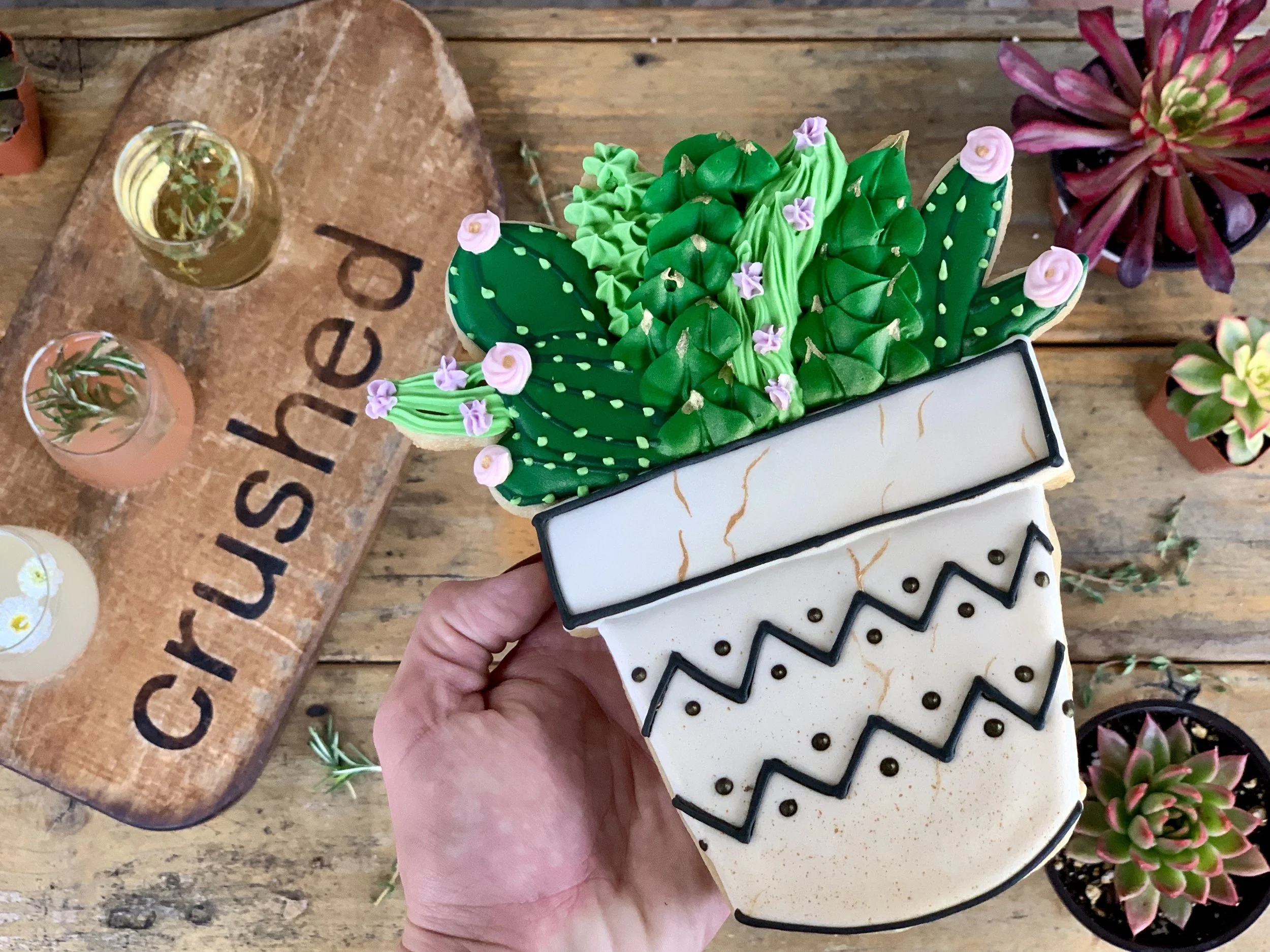 Succulent Cookies at Crushed 