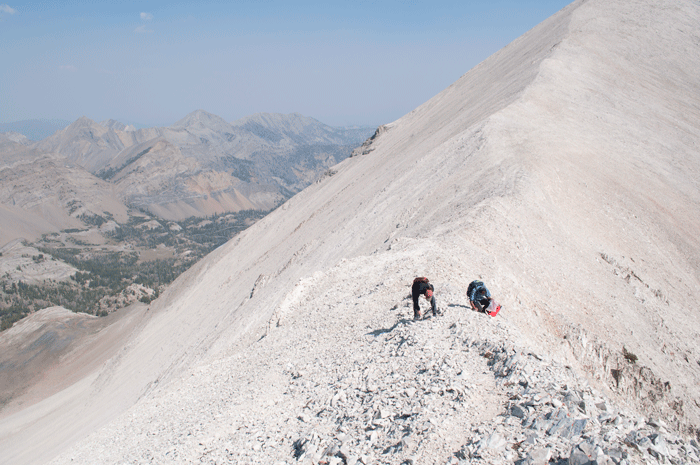 Sampling the genetic diversity of plant communities in the White Cloud Mountains, Idaho
