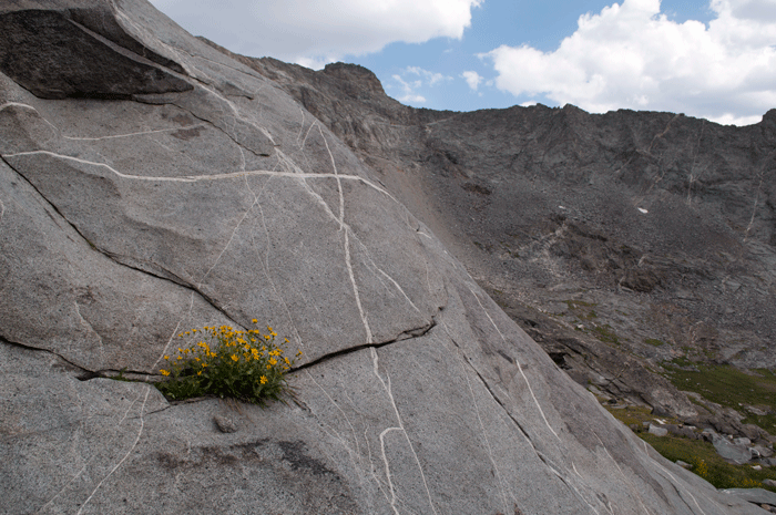 DSC_0201.gif