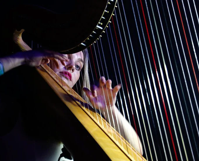 Harp Action Shot.jpg