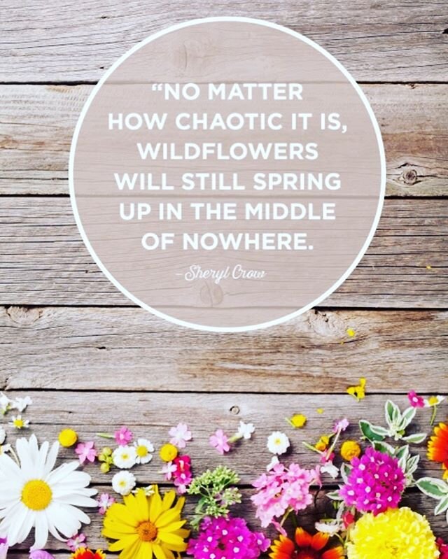 With everything going on in our Nashville community, and the fear that is spreading around the world... I think we could all use a little 🌸HOPE🌼 Spring is just around the corner bringing a new season, bright colors, and beautiful flowers in sight. 