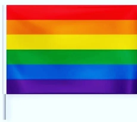 So proud to report that our Lake County Board Members not only passed the resolution to raise the pride flag today at 1 pm, but they all had wonderful, beautiful words of support for the LGBTQ community and were able to see why, even facing possible pushback from other groups, this is something that is so crucial. THANK YOU, Lake County Board! Sam Yingling and I will be there with Julie Simpson today to raise this flag! Next year, this group will do everything in its power to get the flag raised over the Village of Buffalo Grove!