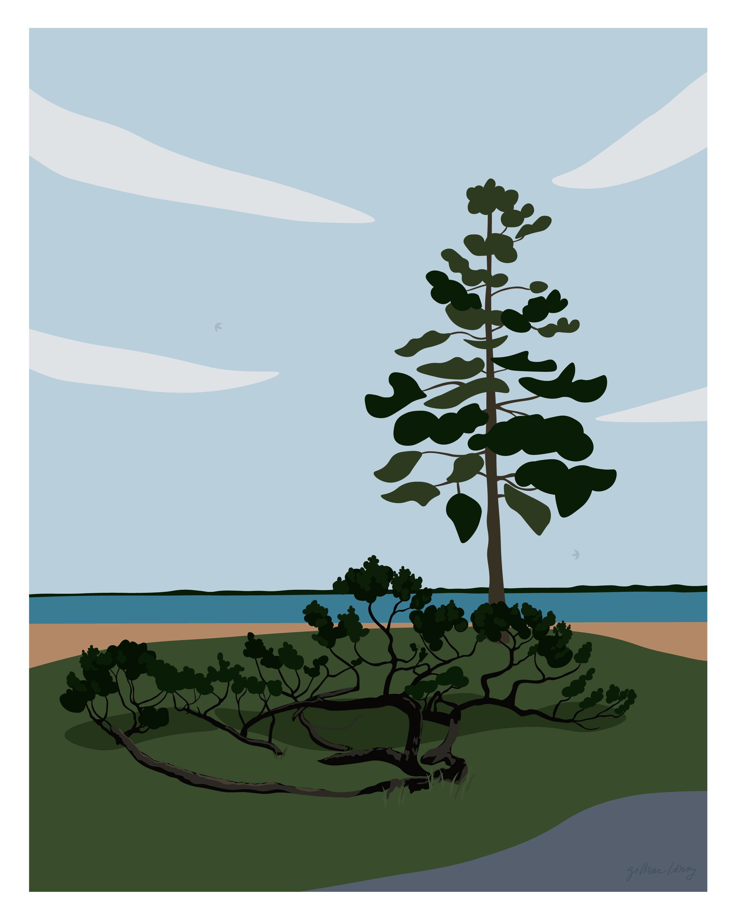 TwistedTree-01.jpg